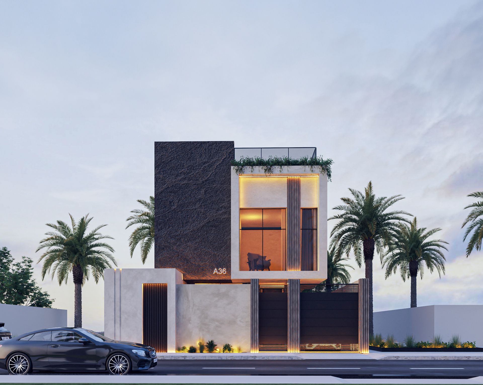 Ongoing Project 3